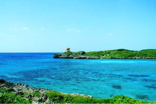 メモリード福岡の海洋葬